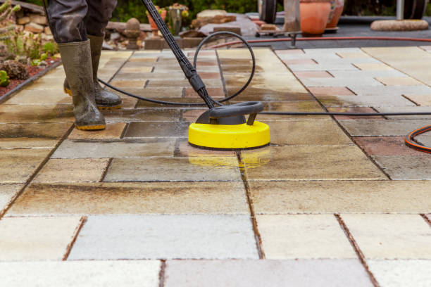 Best Solar Panel Cleaning  in Buckhead Ridge, FL